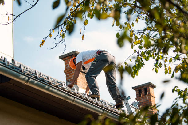 Roof Gutter Cleaning in Brooklyn, NY